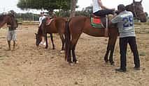 Photo 3 Agadir Horse Riding and Flamingo River