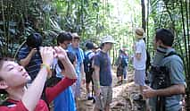 Foto 3 Teleférico RainForest, crucero por el río y paseo por la naturaleza: Eco Tour