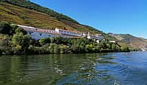 Photo 3 Douro Valley Private Wine Tour with 2 Wineries and River Cruise