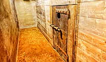 Photo 4 Venice Lords of the Night Prison Palace Escorted Visit