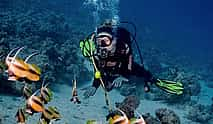 Photo 3 Dive Hurghada Daily