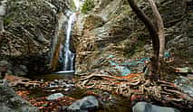 Photo 3 Artemis Trail and Waterfalls Trail Private Walking Tour