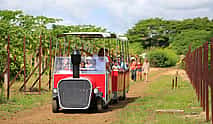 Photo 4 North of Mauritius Full-day Tour