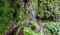 Photo 3 King's Levada, Hidden Corners Full-day Walking Tour