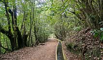 Photo 3 Ribeiro Frio, Portela Full-day Walking Tour