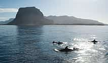 Photo 4 Speed Boat to Ile aux Benitiers