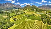 รูปภาพ 4 Private Full-day Stellenbosch or Franschhoek or Paarl Wine Tour from Cape Town
