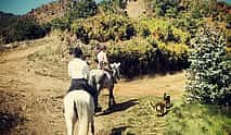 Photo 4 Private Horse Riding Tour in Madeira