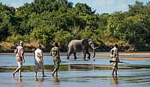 Photo 3 South Laungwa Private Walking Safari