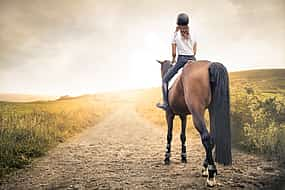 Foto 1 Excursión a caballo por Madeira para principiantes