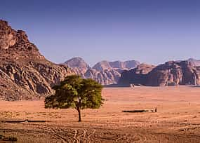 Foto 1 Excursión de día completo en jeep y senderismo por el desierto de Wadi Rum