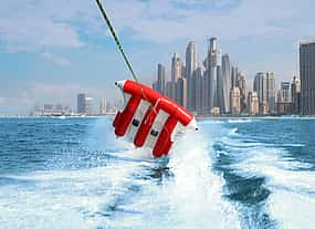 照片 1 Fliegenfisch-Ritt in Dubai