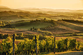 Foto 1 Chianti Rufina Private Half-day Tour from Florence