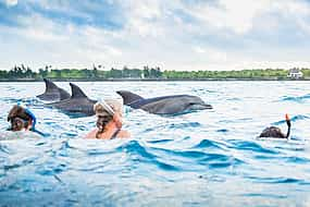 Foto 1 Excursión a Zanzíbar nadando con delfines