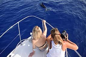 Фото 1 Crucero privado de avistamiento de ballenas y delfines