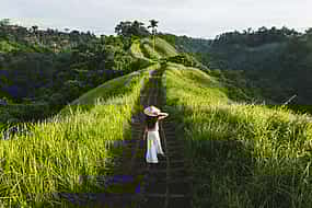 Foto 1 Lo mejor de Ubud: Naturaleza, templo, cascada y terraza de arroz