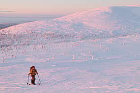 Foto 1 Raquetas de nieve en el Parque Nacional (Pallas-Yllästunturi)