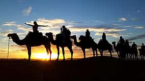 صورة 1 Sunset Camel Ride in Palmeraie
