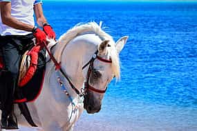 Photo 1 Adventure Safari by Horse in Sharm El Sheikh
