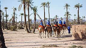 รูปภาพ 1 Paseo en camello por el palmeral