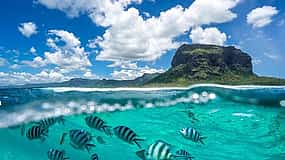 Photo 1 Catamaran Cruise to Ile Aux Bénitiers: Dolphin Watch and Crystal Rock