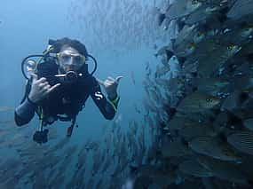 Photo 1 Scuba Diving at the Catalina Islands, Costa Rica