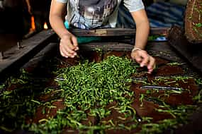 Photo 1 Tour the Amazing Natural Spices and Ceylon Tea Farm