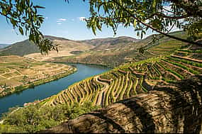 Foto 1 Douro-Tal Wein-Tour mit Boot und Mittagessen