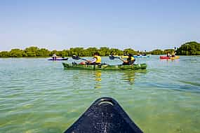 Photo 1 North of Qatar Tour with Kayaking