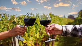 照片 1 Private Half-day Tour with Cape Winelands, Stellenbosch