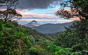 Foto 1 Excursión al Bosque Nuboso de Monteverde