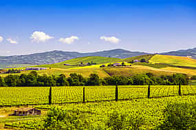 Photo 1 Montepulciano, Montalcino and Siena Private Full-day Tour