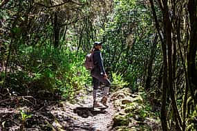 Photo 1 Rainforest Canyoning Tour