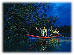 Photo 1 Kuala Selangor Firefly Boat Tour