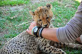 照片 1 Zoobesuch mit Eintrittskarten