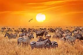 รูปภาพ 1 Overnight Safari at Aquila Game Reserve from Cape Town