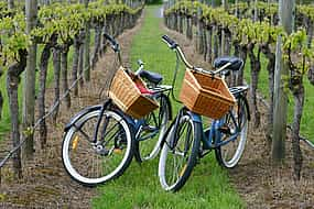 Foto 1 Ruta en bicicleta por los viñedos de Binissalem y cata de vinos