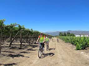 Photo 1 Private bike wine tour in a spectacular wine town