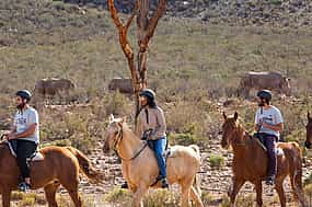 Foto 1 Safari a caballo de día completo en la Reserva de Caza de Aquila