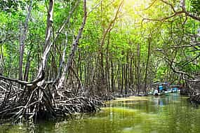 Photo 1 Mangrove Exploration Tour