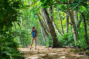 Foto 1 Cahuita-Nationalpark und Bananenplantagen-Tour ab Limon