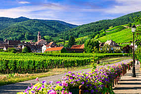 Photo 1 4-hour Private Tour: Escape on the Alsace Wine Route