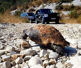 Photo 1 Northwest Corfu 4x4 Coastal Dreams & Village Charms Experience