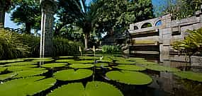 Фото 1 Экскурсия с гидом по Sitio Roberto Burle Marx