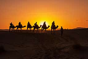 Photo 1 Private Afternoon Desert Safari with Camel Ride and Sandboarding