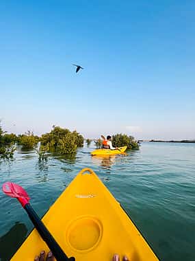 Photo 1 Mangrove Kayaking Adventure