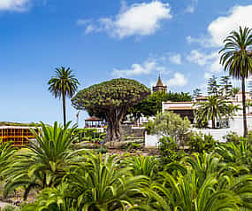 Photo 1 Private Excursion to Masca, Garachico, Icod in Tenerife