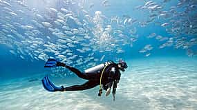 Photo 1 Dive Hurghada Open Water Course