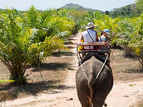 Foto 1 Phuket: Safari Jangle con rafting en bambú y paseo en elefante