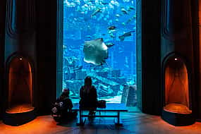 照片 1 Eintrittskarten für Dubai Aquaventure und Lost Chambers Aquarium
